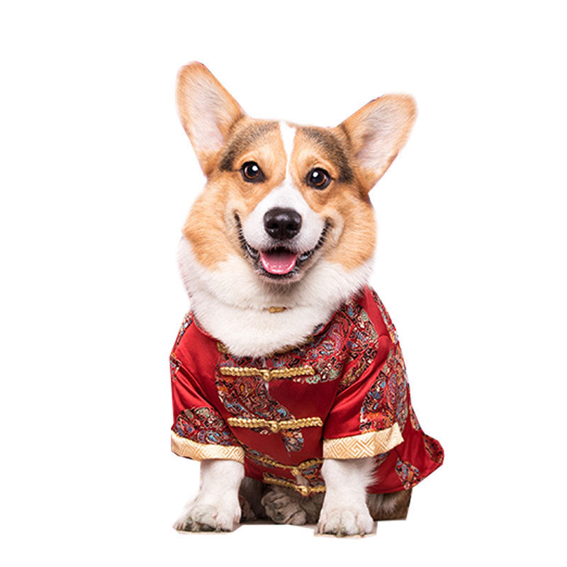 The Dog Tang Dress.