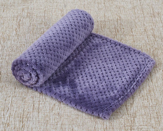 CozyCloud Coral Fleece Pet Blanket