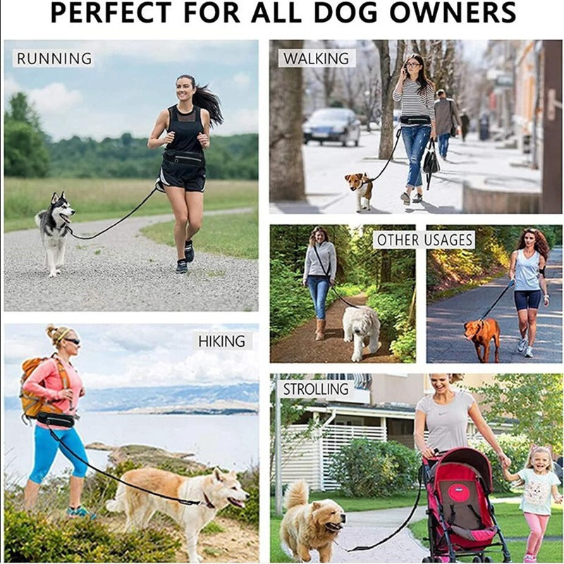 The Pawcket Runner