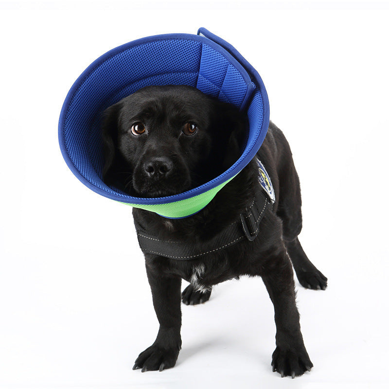 Cloud Comfort Pet Recovery Collar