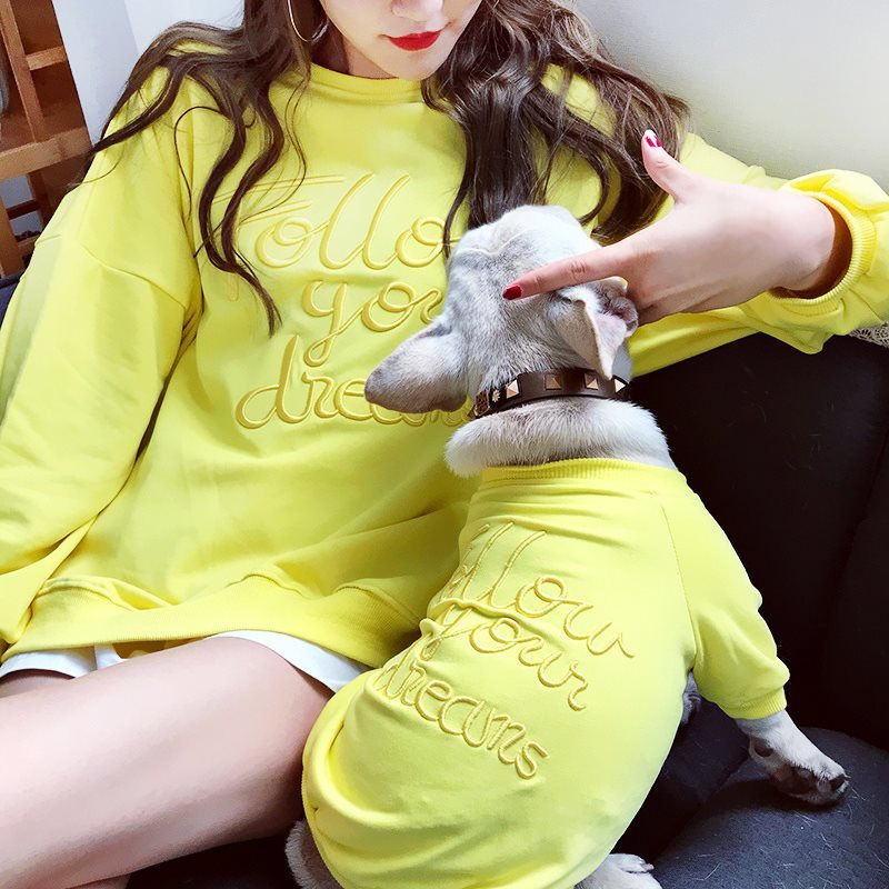DreamTeam Matching Pet & Owner Jumpers