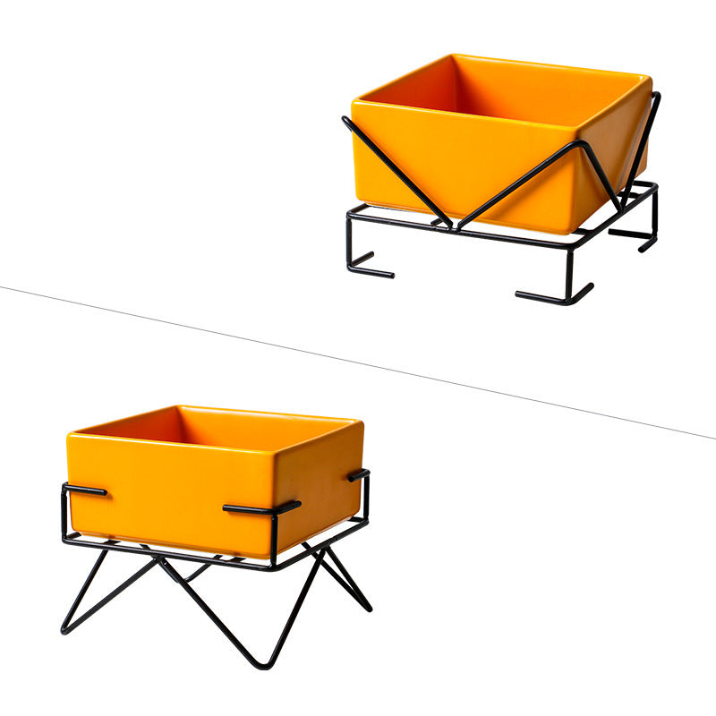 Elevé Luxe Orthopedic Pet Feeding Bowl