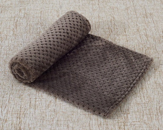 CozyCloud Coral Fleece Pet Blanket