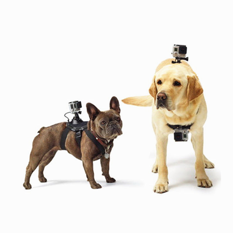 Paw-spective Adventure & Safety Dog Camera Harness