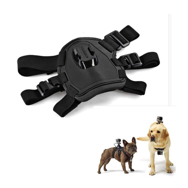 Paw-spective Adventure & Safety Dog Camera Harness