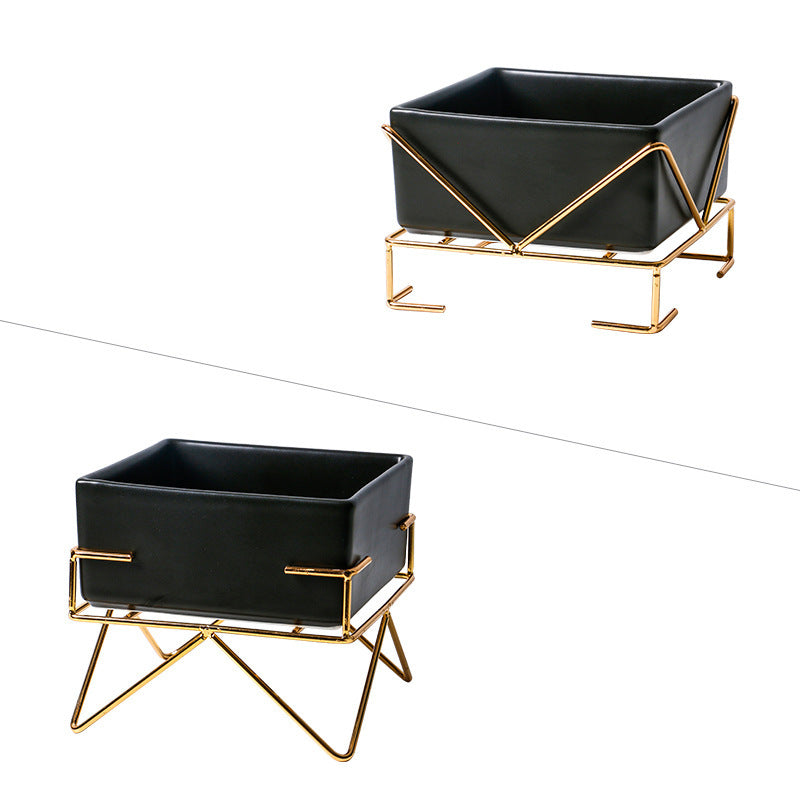 Elevé Luxe Orthopedic Pet Feeding Bowl