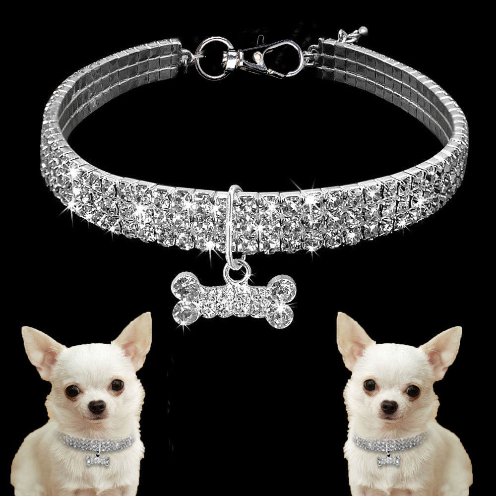 SparklePup Luxe Collar (Also great for cats!)