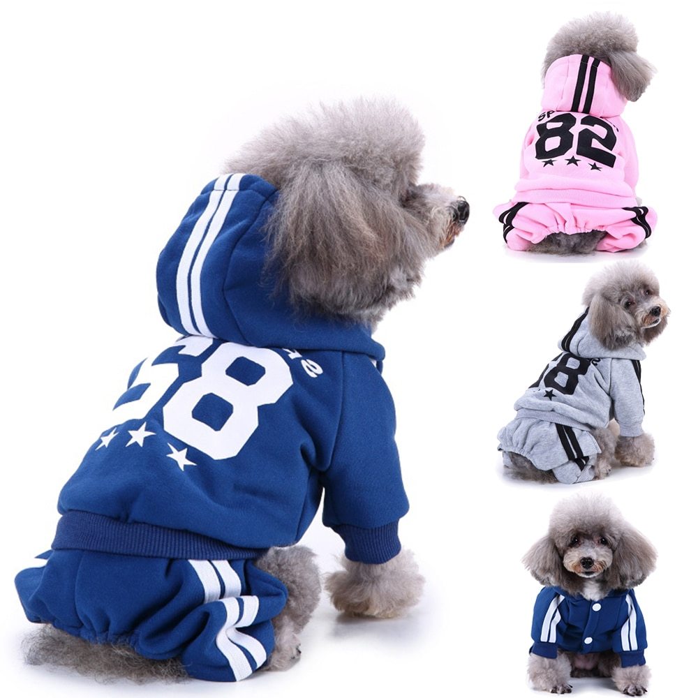 ZoomPaws Winter Tracksuit