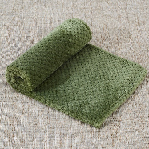 CozyCloud Coral Fleece Pet Blanket