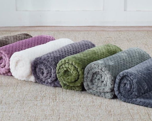 CozyCloud Coral Fleece Pet Blanket