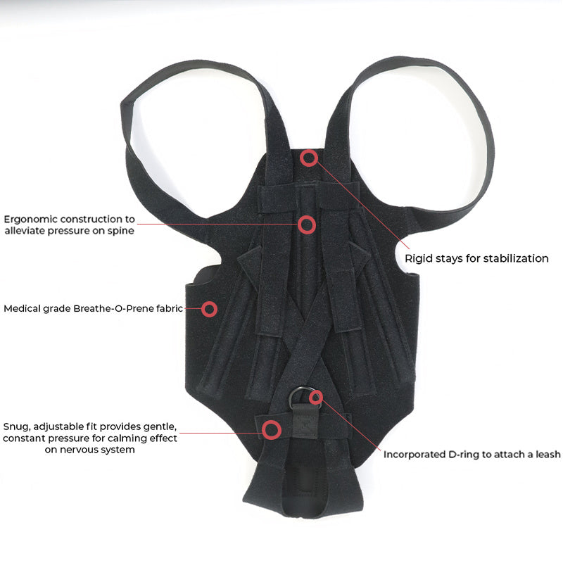 SpineSure IVDD Support Harness