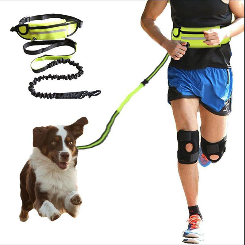 The Pawcket Runner