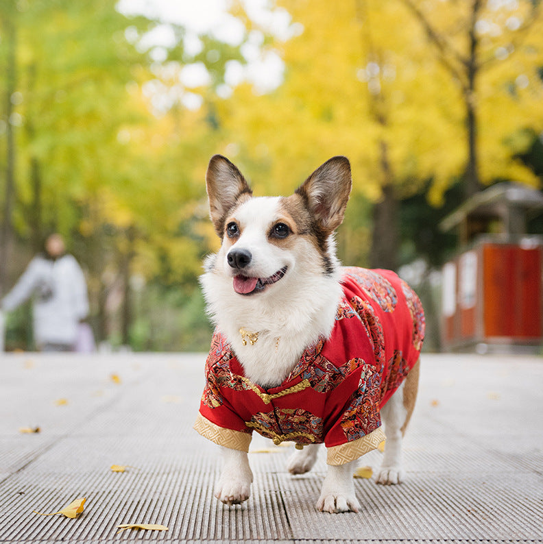 The Dog Tang Dress.