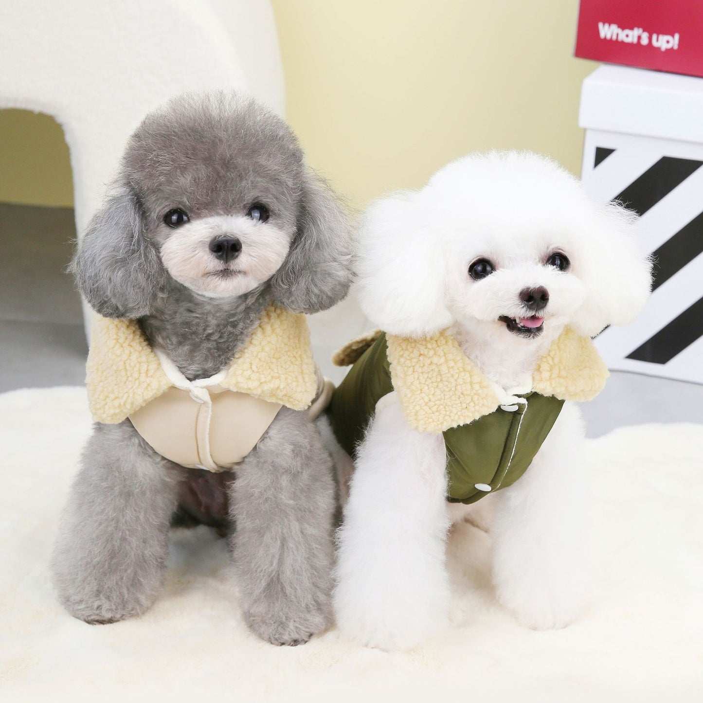 The Lykke Coat