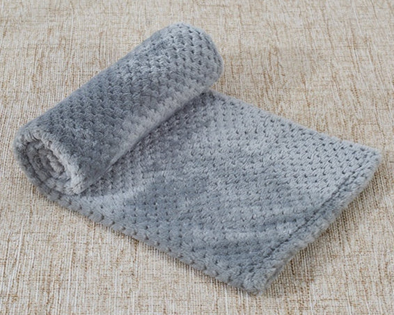CozyCloud Coral Fleece Pet Blanket