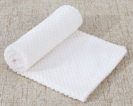 CozyCloud Coral Fleece Pet Blanket