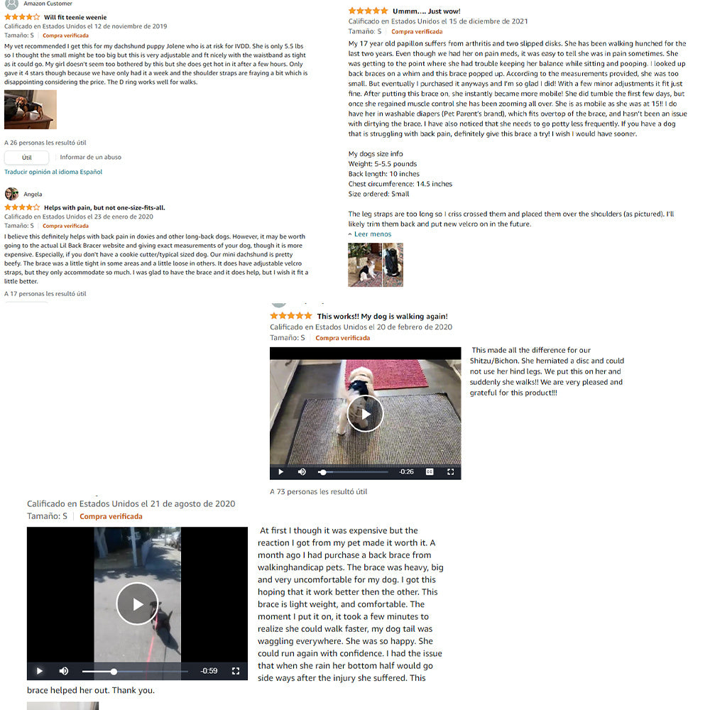 SpineSure IVDD Support Harness