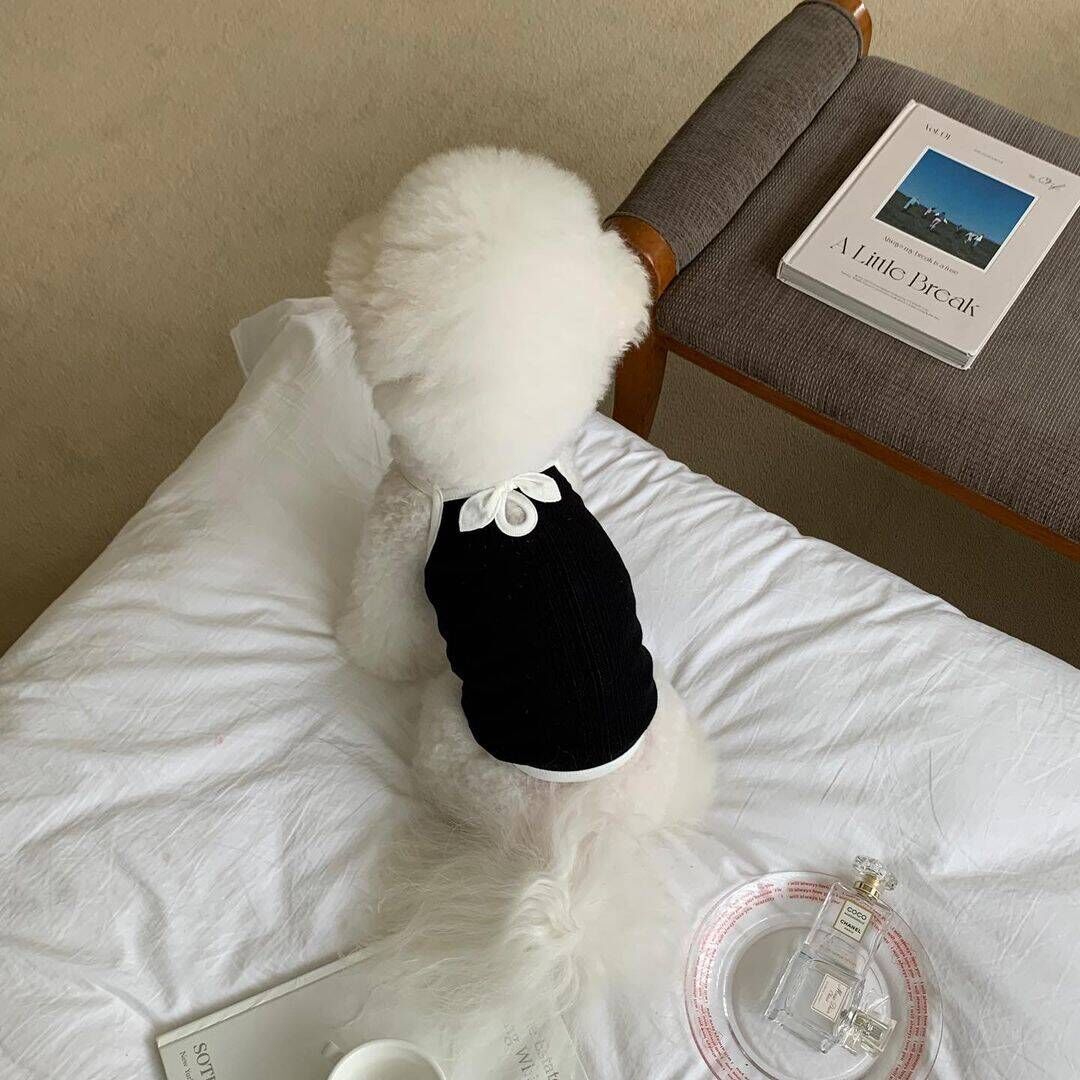 La CocoCami