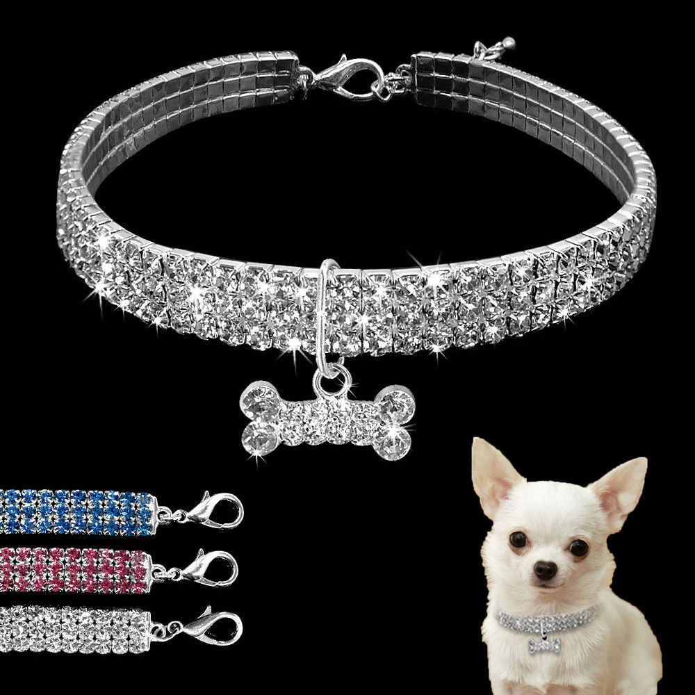 SparklePup Luxe Collar (Also great for cats!)