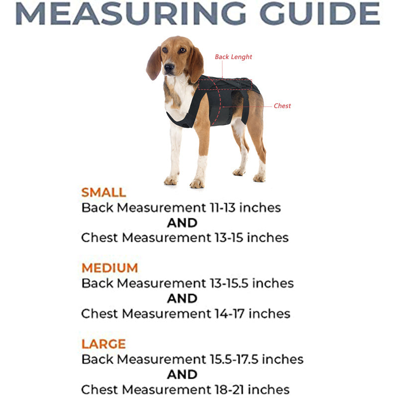 SpineSure IVDD Support Harness