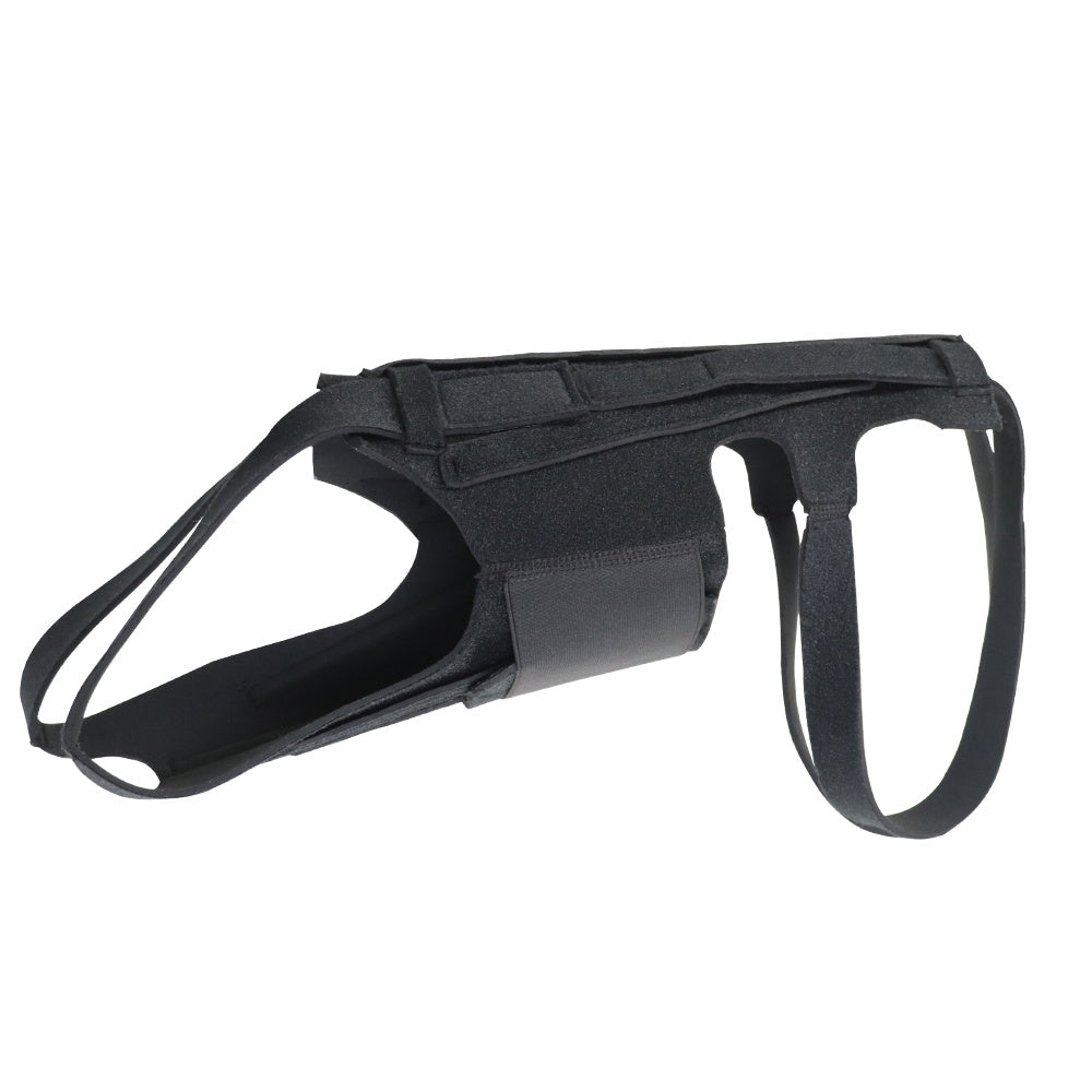 SpineSure IVDD Support Harness
