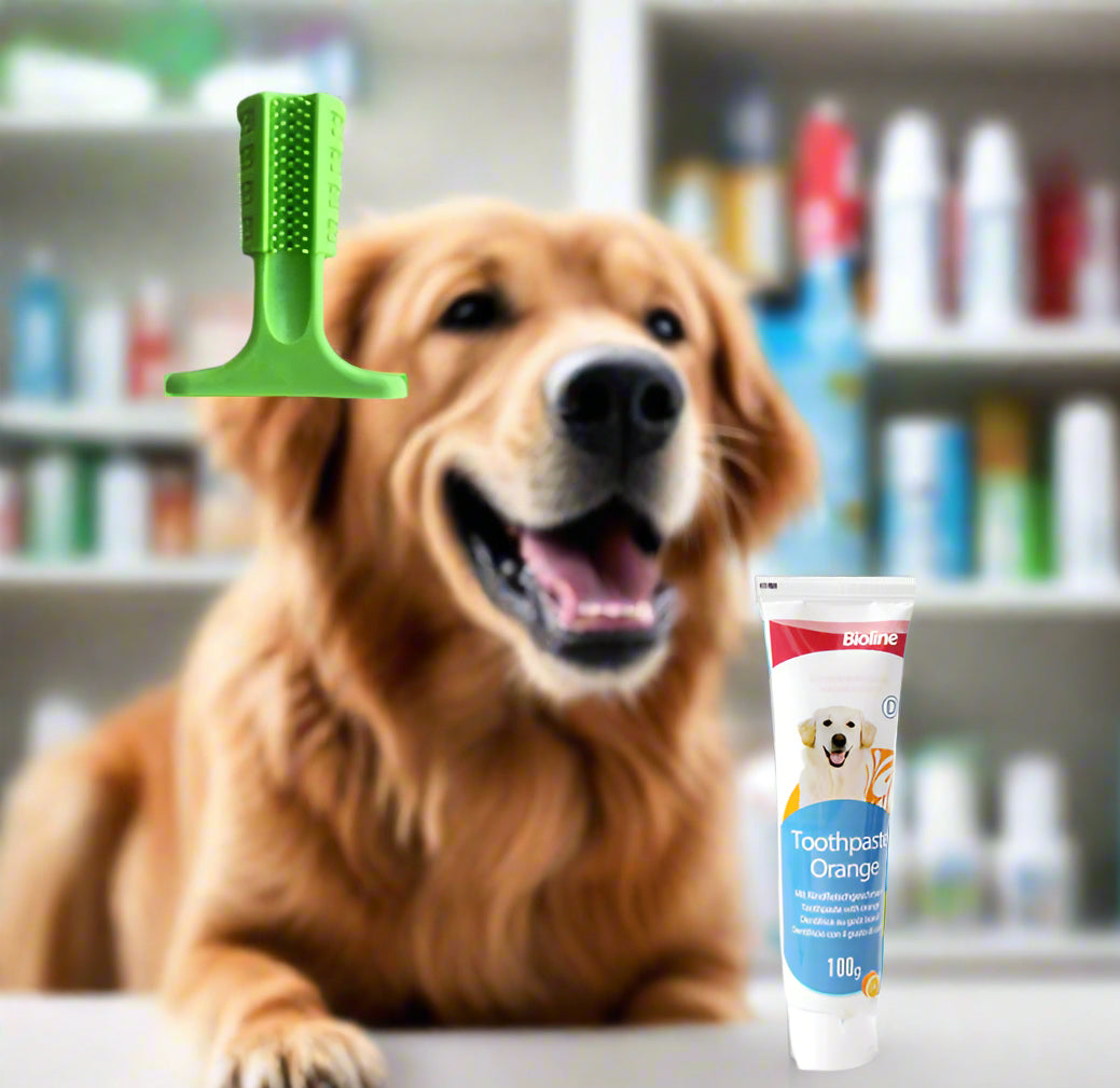 Luxe Canine Toothpaste by Bioline