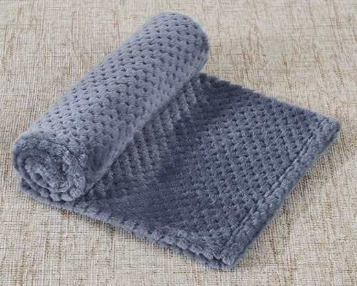 CozyCloud Coral Fleece Pet Blanket