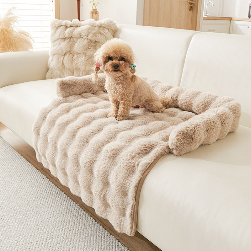 🐾 5 Pet Parent Habits That Upgrade Your Pet’s Life Instantly