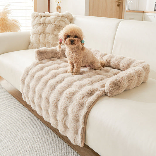 🐾 5 Pet Parent Habits That Upgrade Your Pet’s Life Instantly