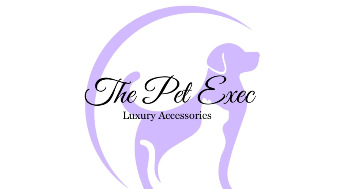 🐾 Welcome to The Pet Exec: Where Pets Are Family, and Style Comes Standard