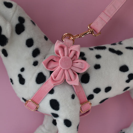 Blush Royale Harness Set