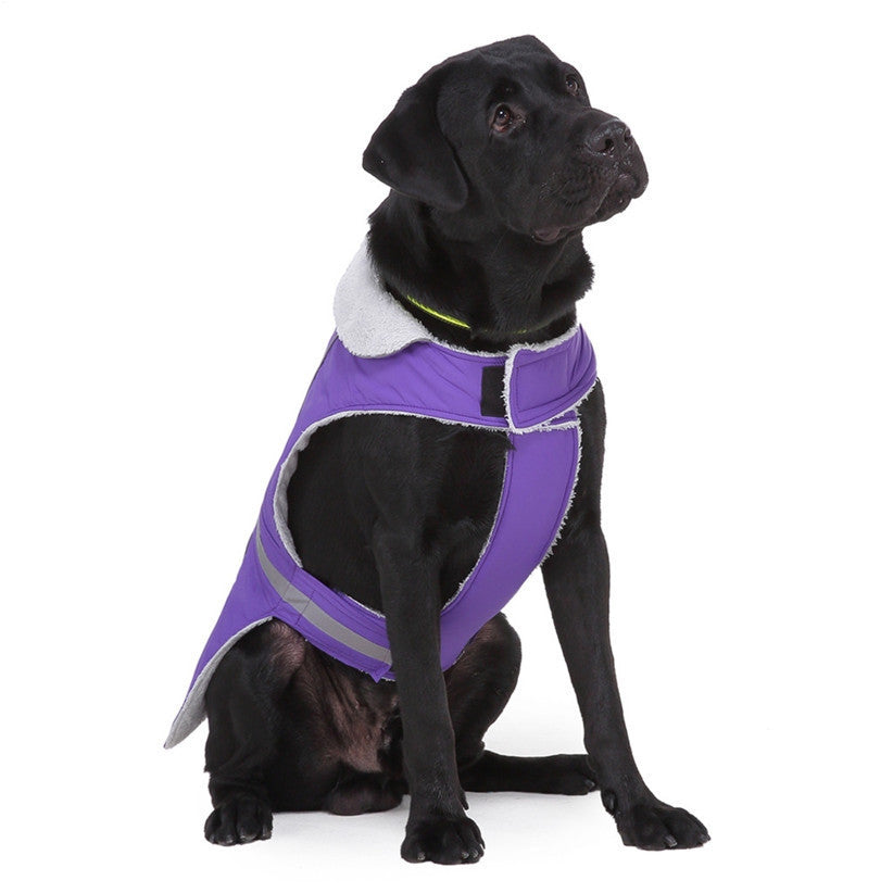 GlowPaws -  Reflective Winter Dog Jacket