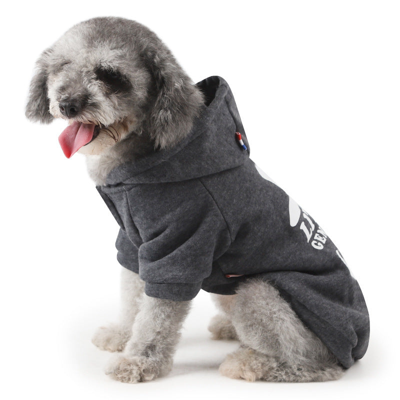 Bearded Dog Hoodie | Cozy Mustache Sweater for Small Dogs