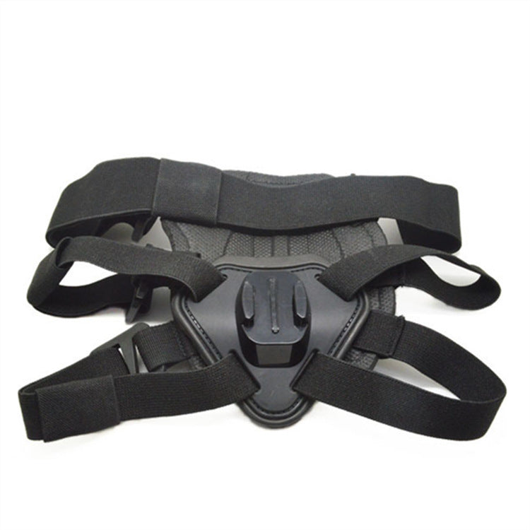 Paw-spective Adventure & Safety Dog Camera Harness