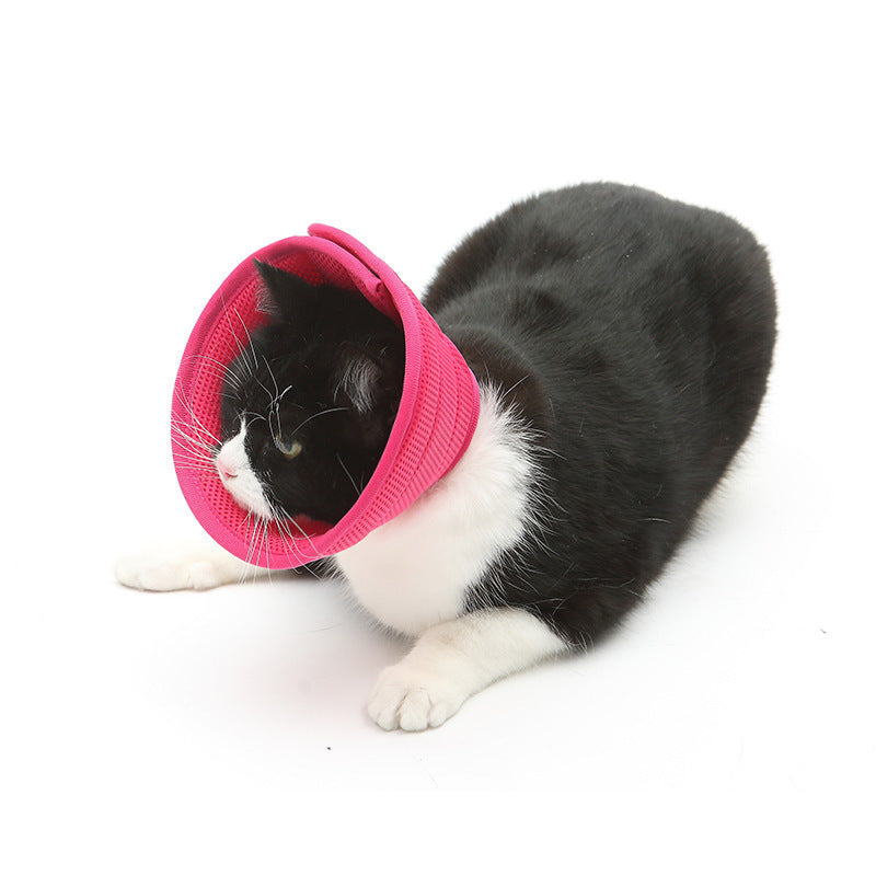 Cloud Comfort Pet Recovery Collar