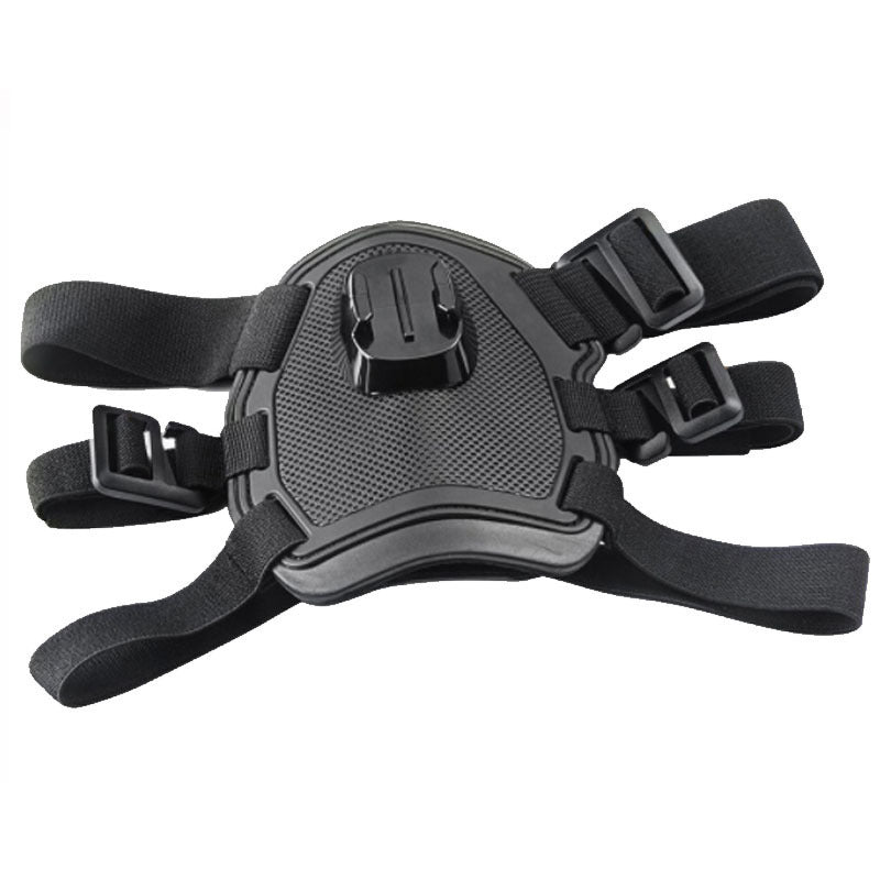 Paw-spective Adventure & Safety Dog Camera Harness
