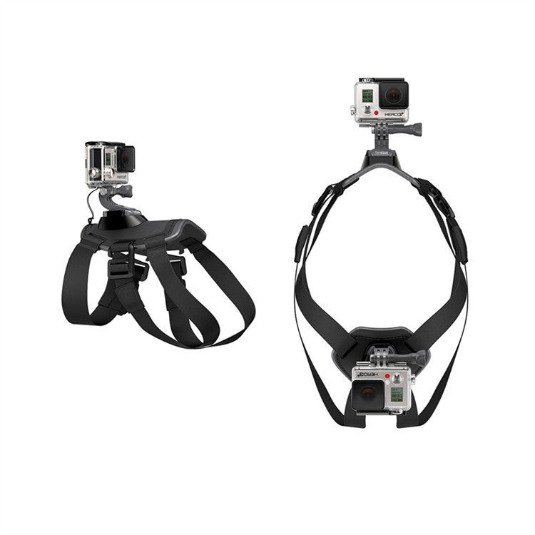 Paw-spective Adventure & Safety Dog Camera Harness