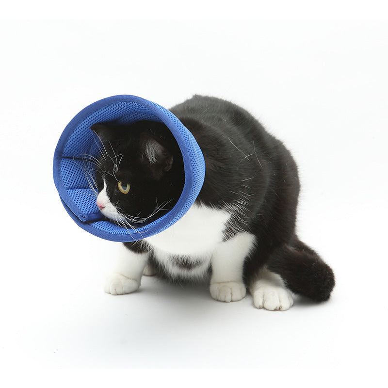 Cloud Comfort Pet Recovery Collar
