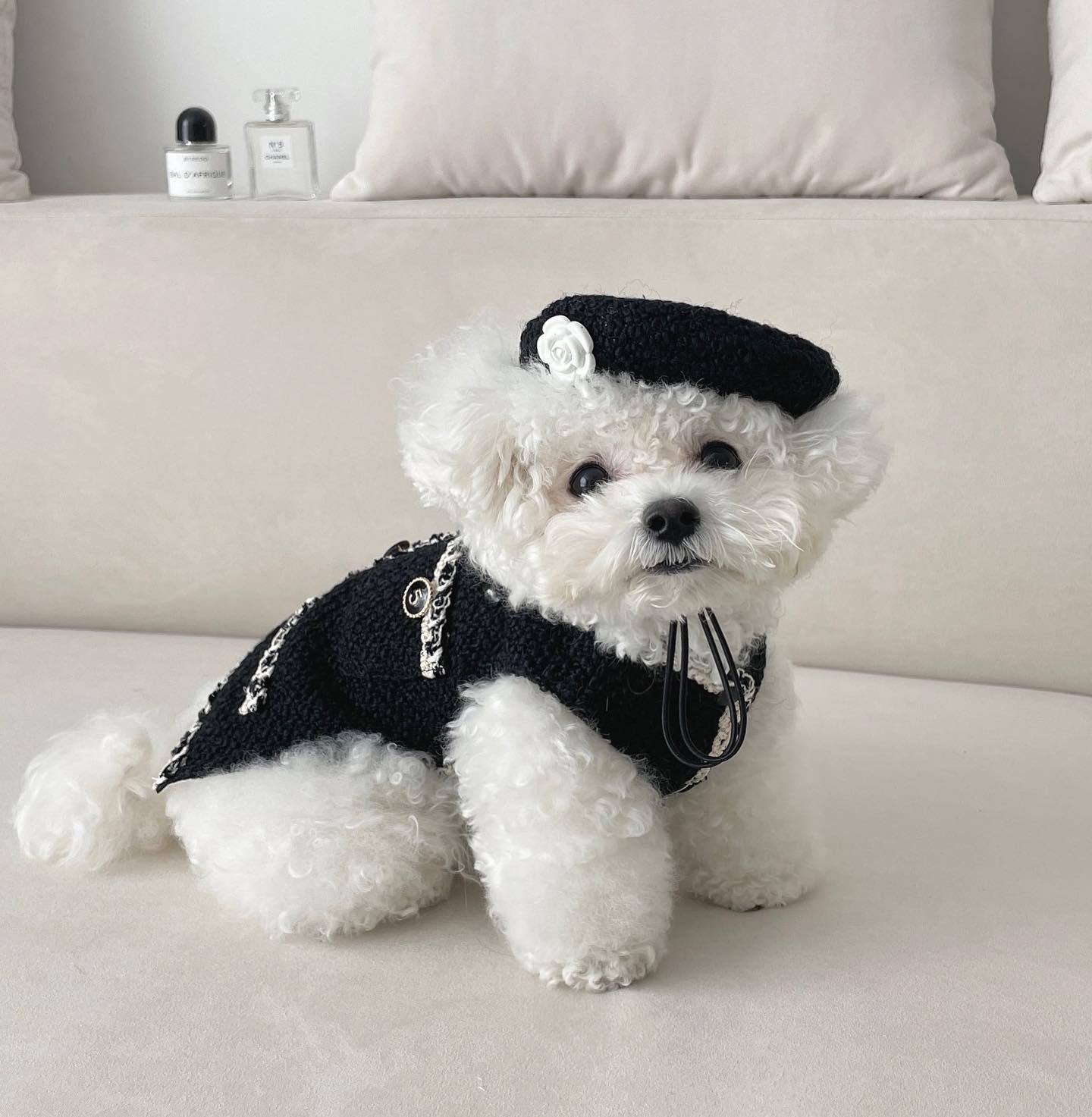 Chérie Noire Knit Hat