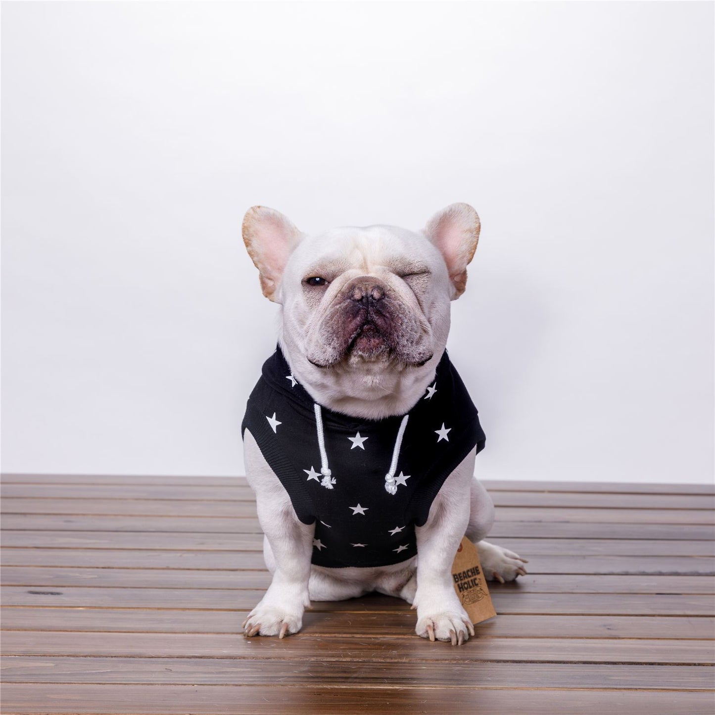 StarStrut Pet Hoodie