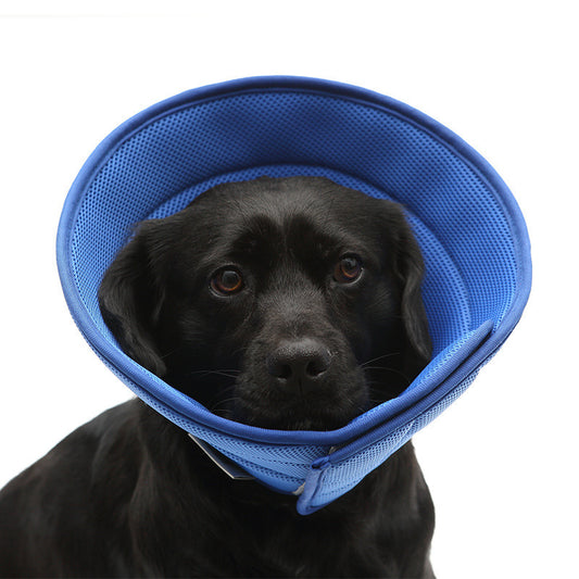 Cloud Comfort Pet Recovery Collar