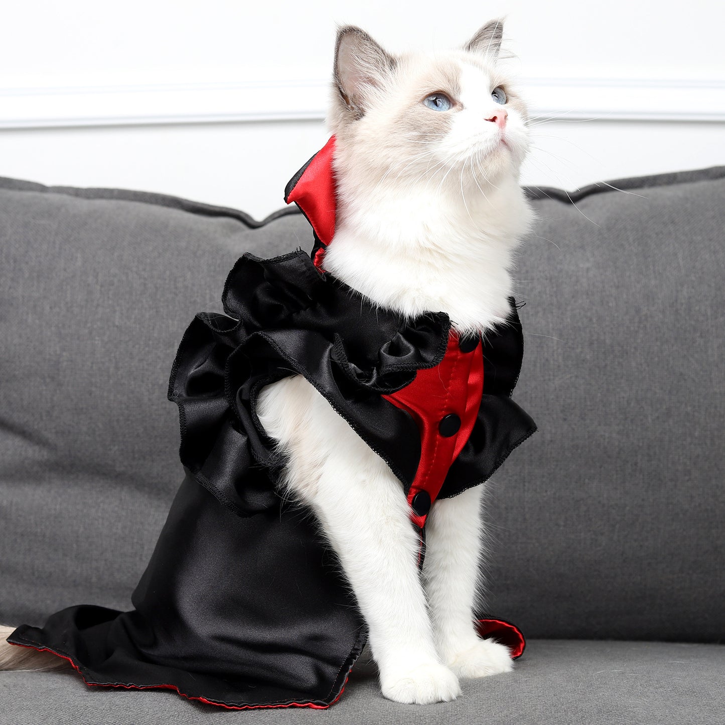 Cat Vampire Costume | Halloween Dracula Cape for Cats & Small Pets