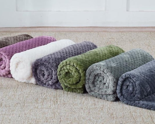 CozyCloud Coral Fleece Pet Blanket
