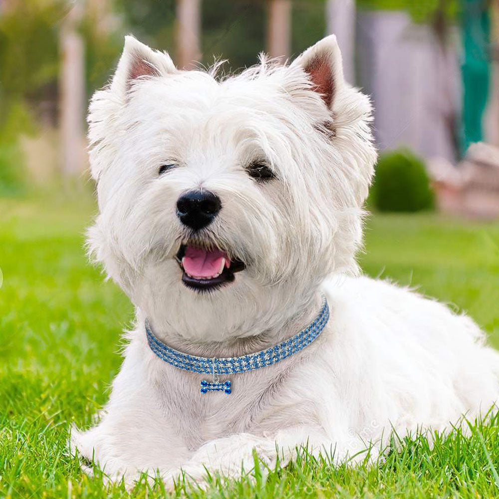 SparklePup Luxe Collar (Also great for cats!)