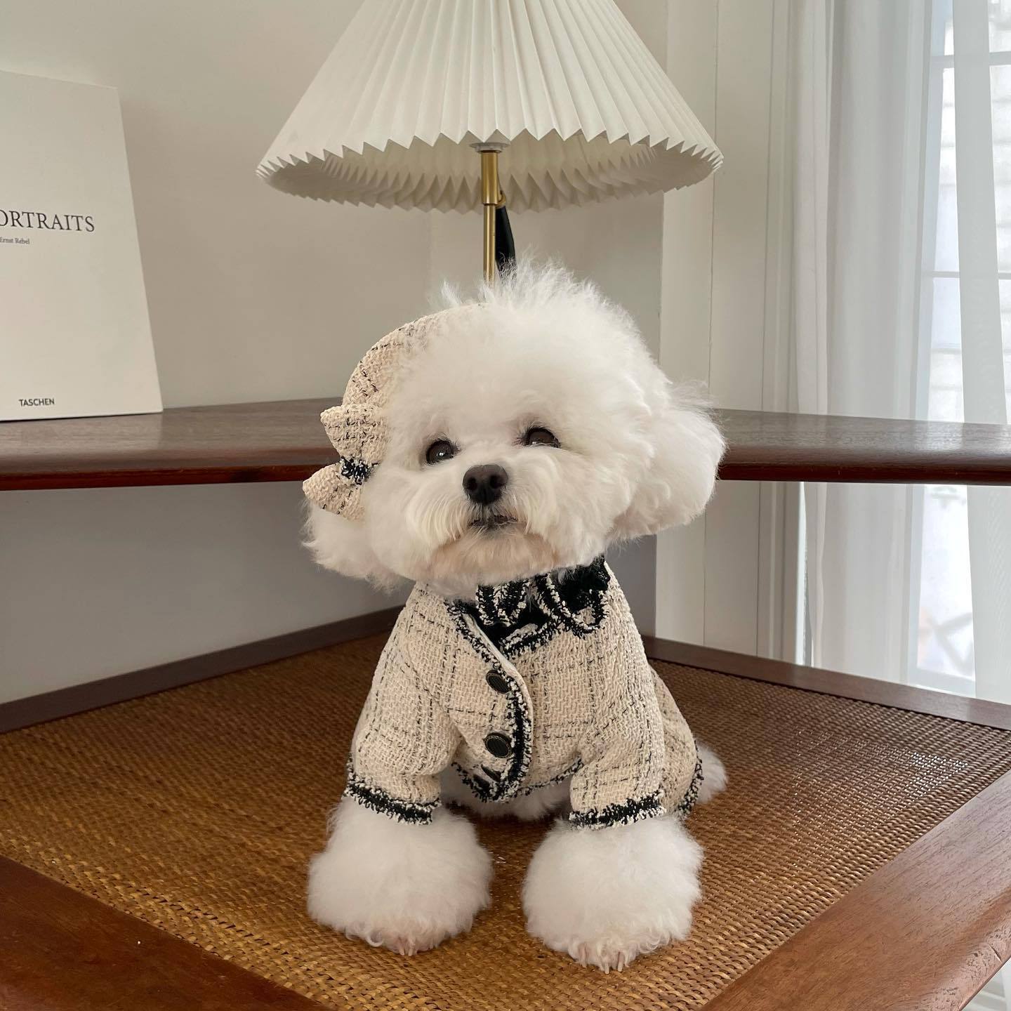 Luxury Dog Dress | French Vanilla Princess Skirt for Pets