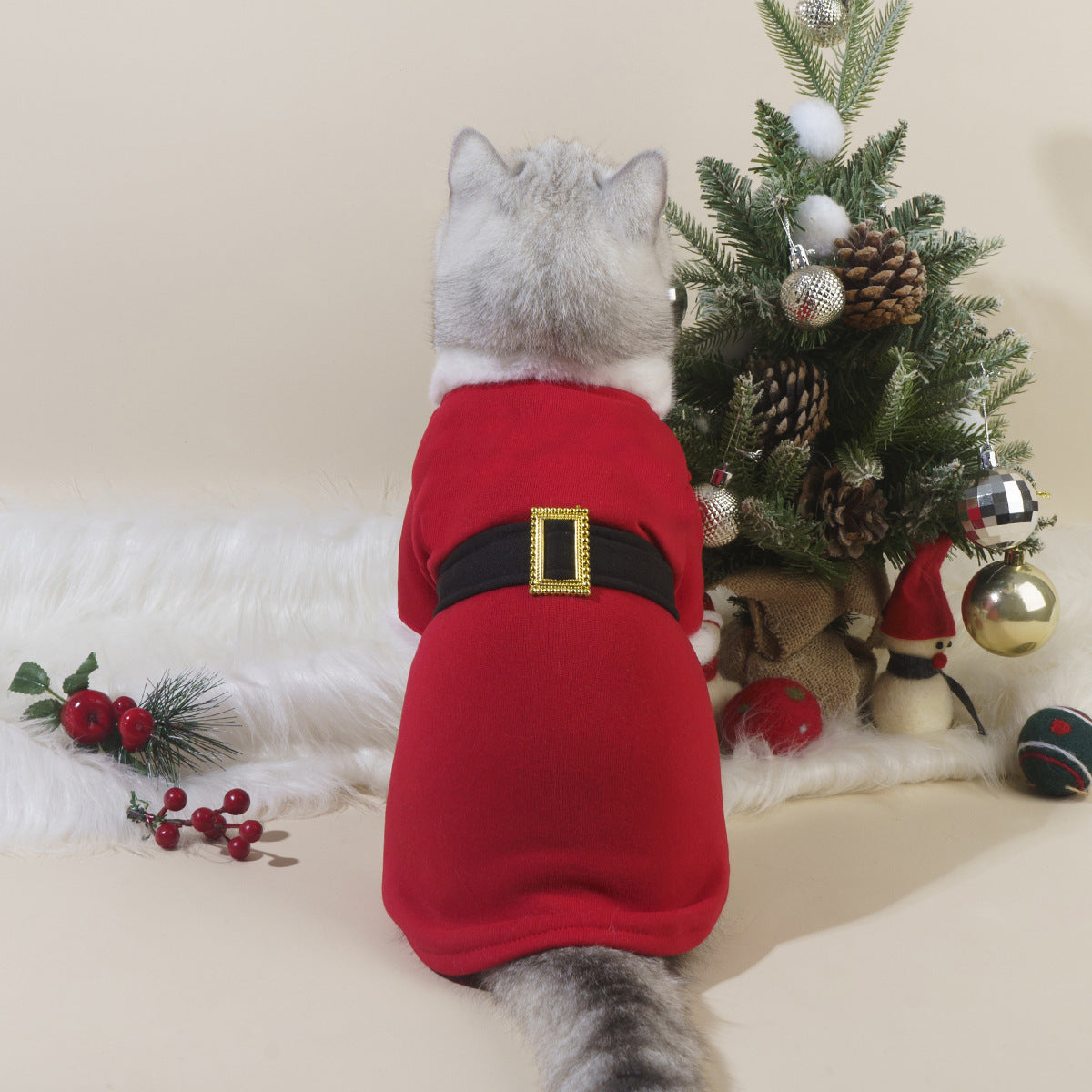 Santa Paws Pet Jacket | Festive Christmas Outfit for Cats & Dogs