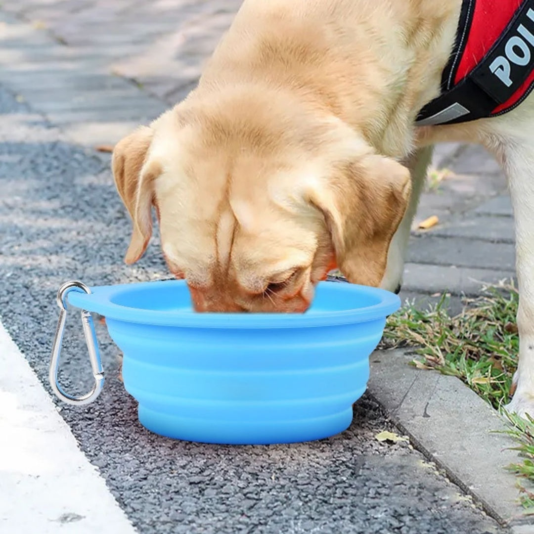 Collapsible Silicone Dog Bowl | Portable, Leakproof Travel Feeder