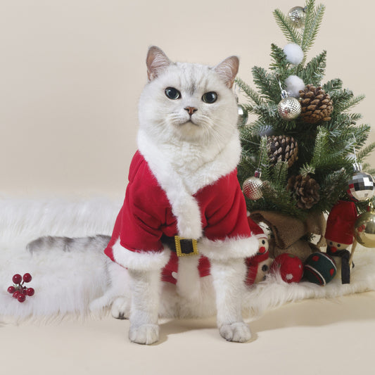 Santa Paws Pet Jacket | Festive Christmas Outfit for Cats & Dogs