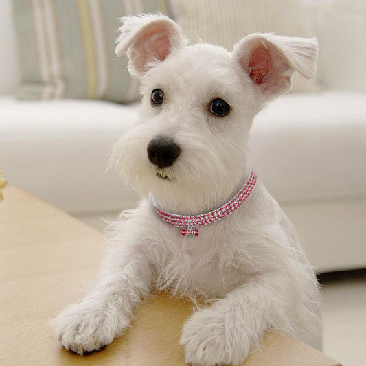 SparklePup Luxe Collar (Also great for cats!)
