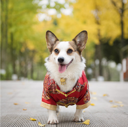 The Dog Tang Dress.